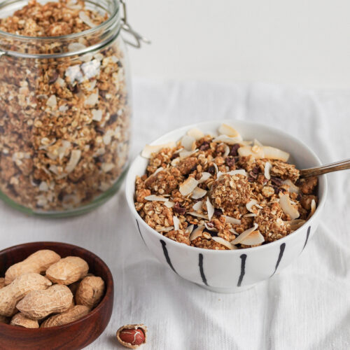peanut butter and chocolate healthy protein granola
