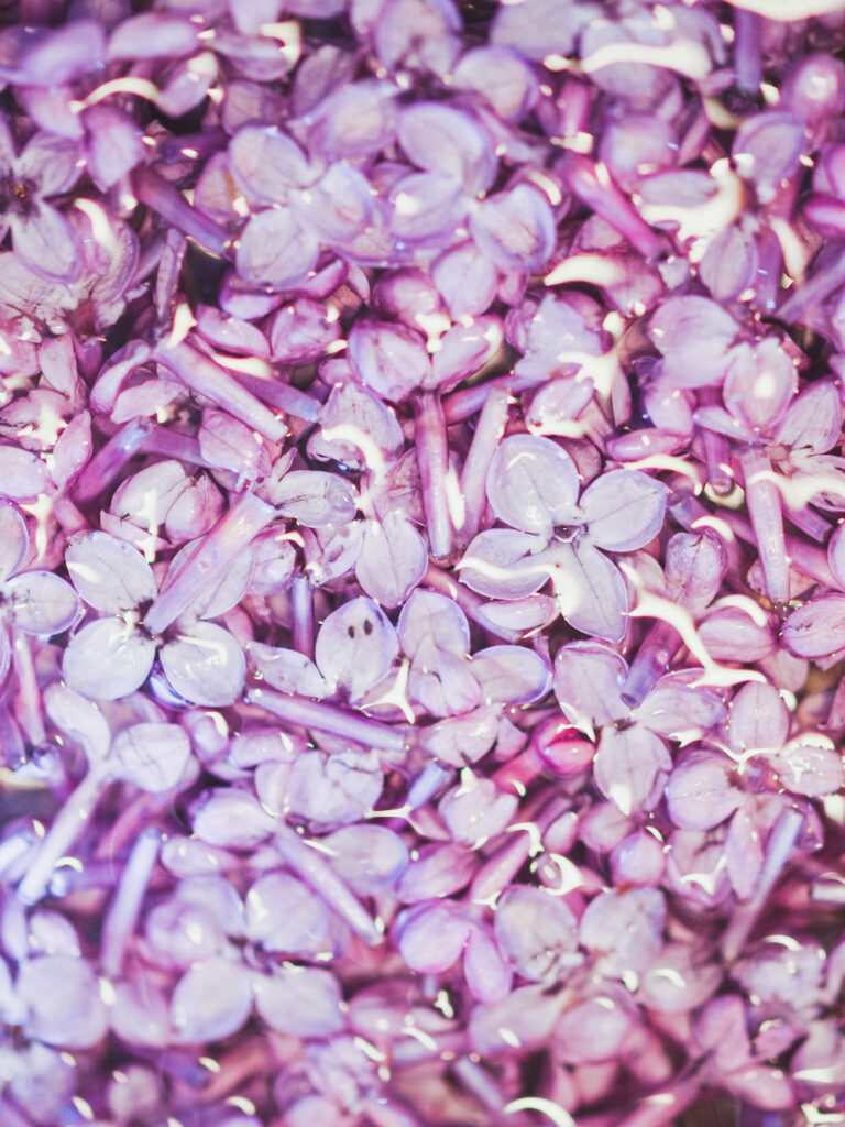 how to make lilac syrup