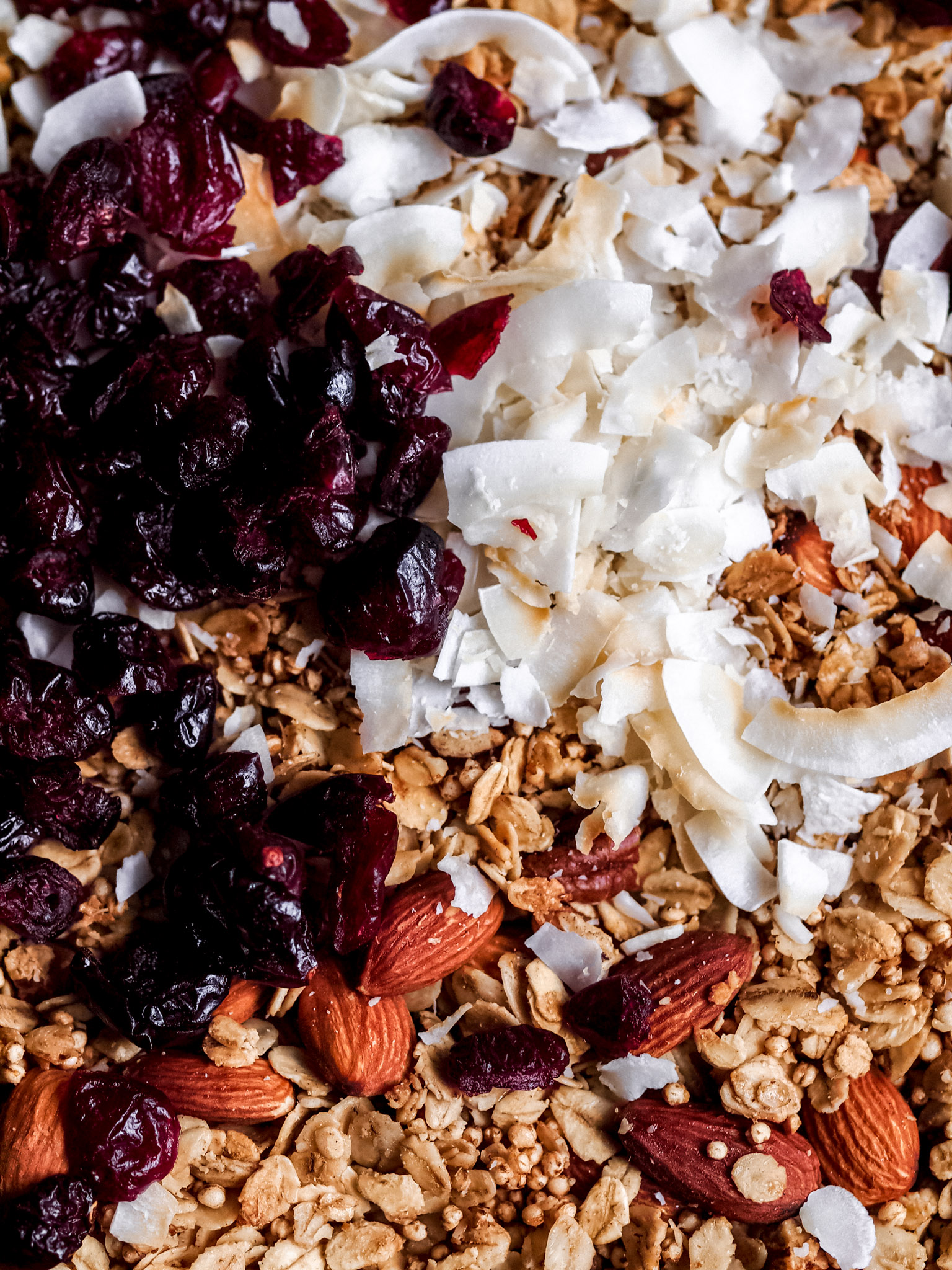 Cardamom Coconut Cranberry Healthy Granola (Gluten Free + Vegan)